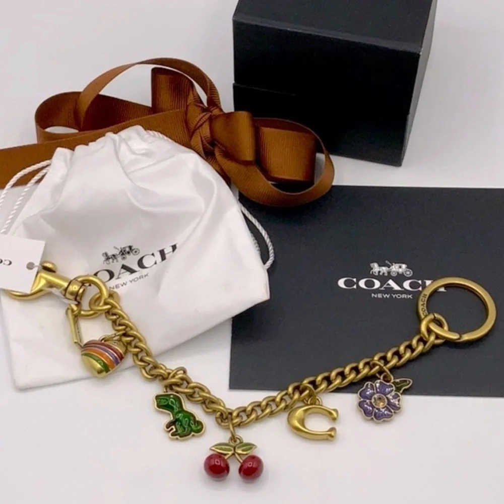 Coach bag extender chain with charms